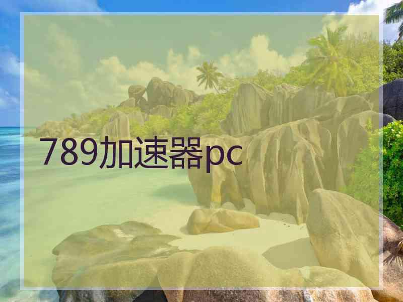 789加速器pc