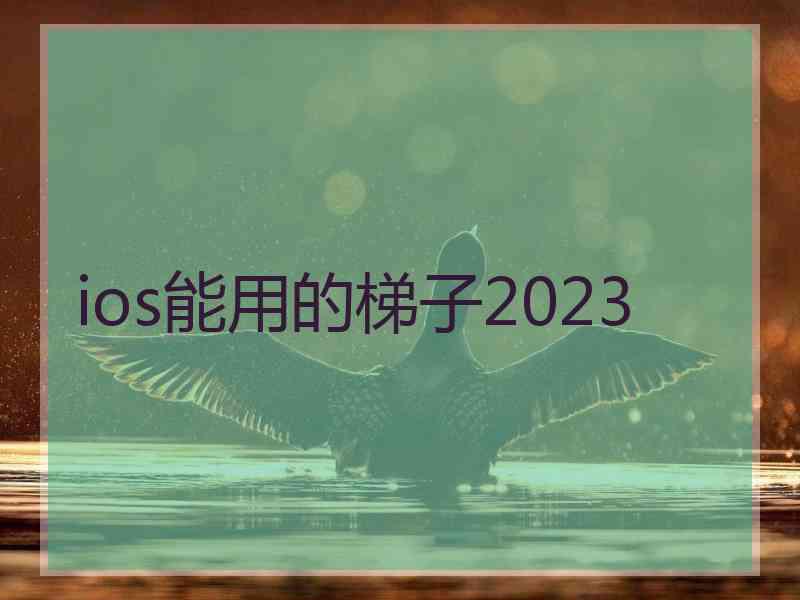 ios能用的梯子2023