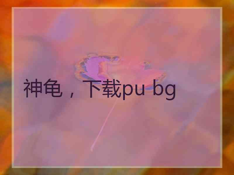 神龟，下载pu bg