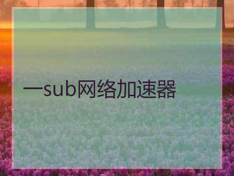 一sub网络加速器