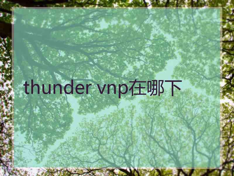 thunder vnp在哪下