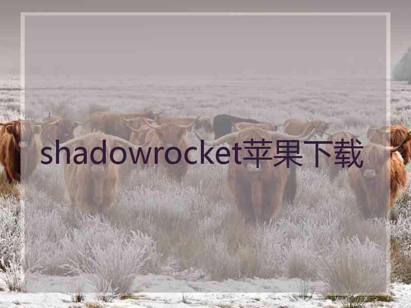 shadowrocket苹果下载