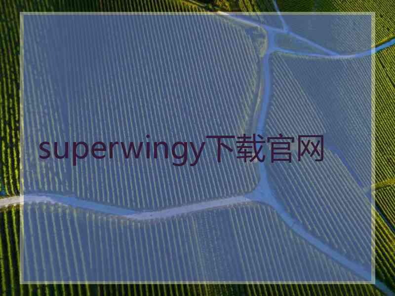 superwingy下载官网