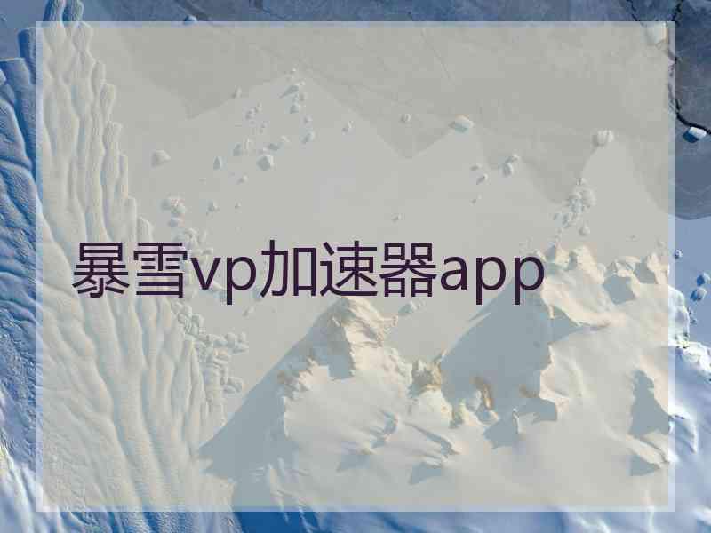 暴雪vp加速器app