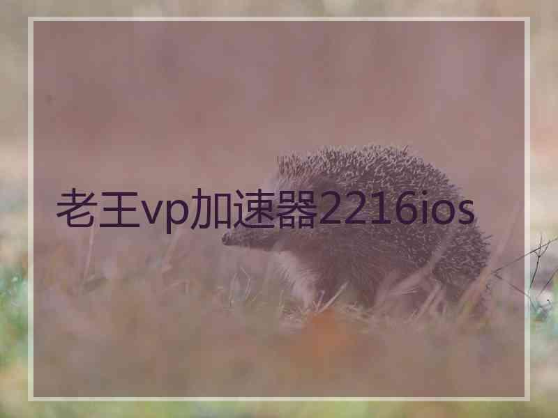 老王vp加速器2216ios