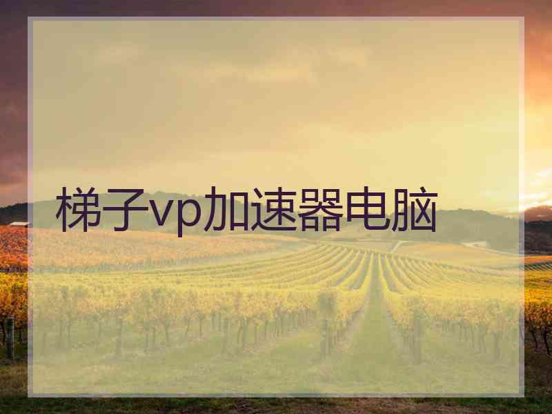 梯子vp加速器电脑