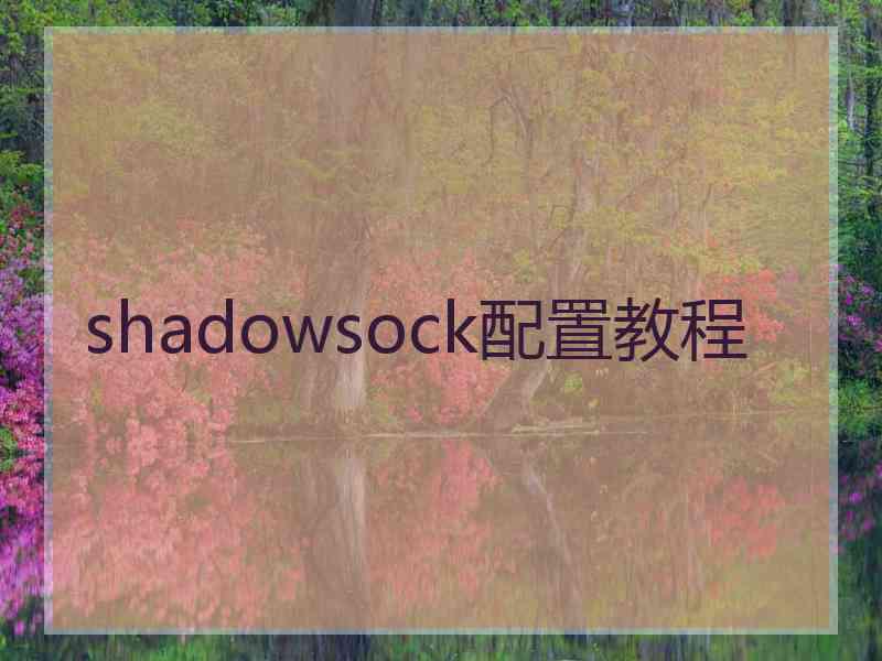 shadowsock配置教程