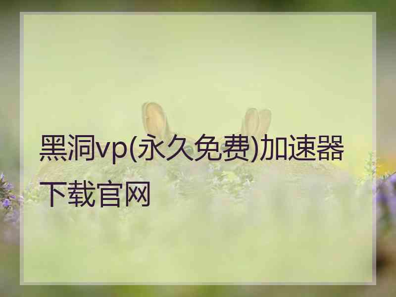 黑洞vp(永久免费)加速器下载官网