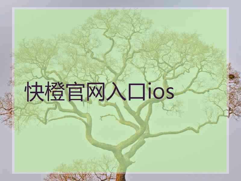 快橙官网入口ios