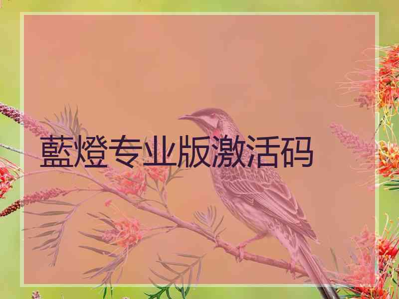 藍燈专业版激活码