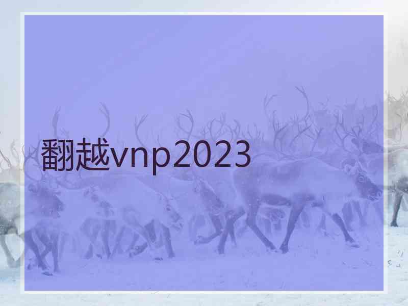 翻越vnp2023