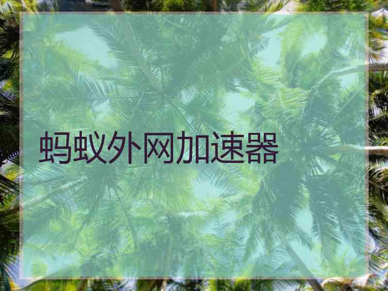 蚂蚁外网加速器