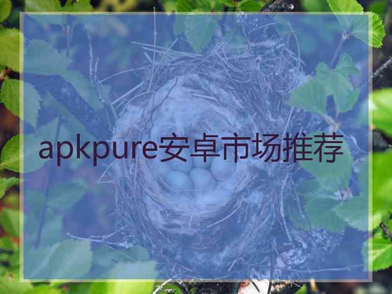 apkpure安卓市场推荐