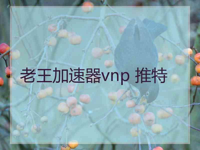 老王加速器vnp 推特