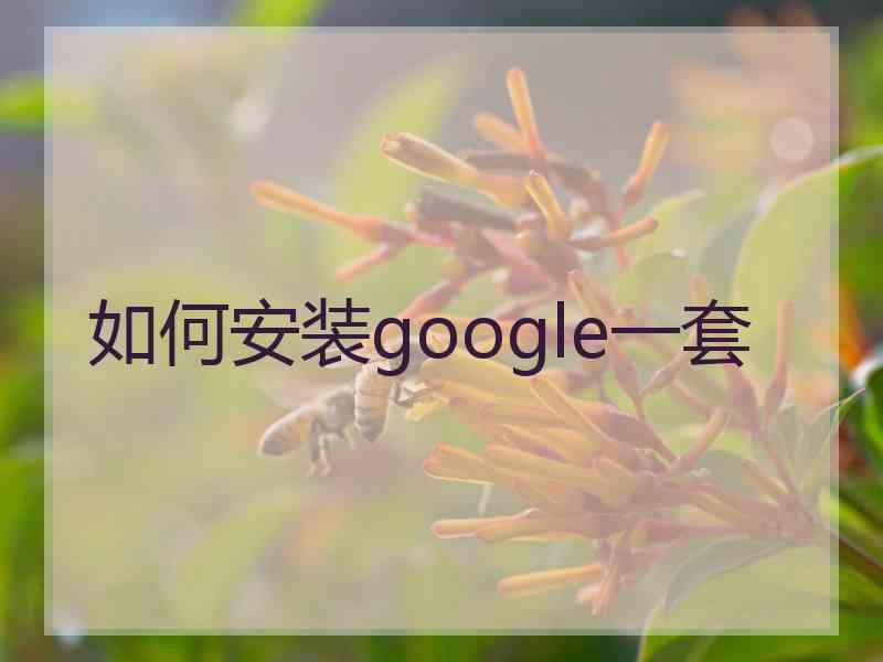 如何安装google一套