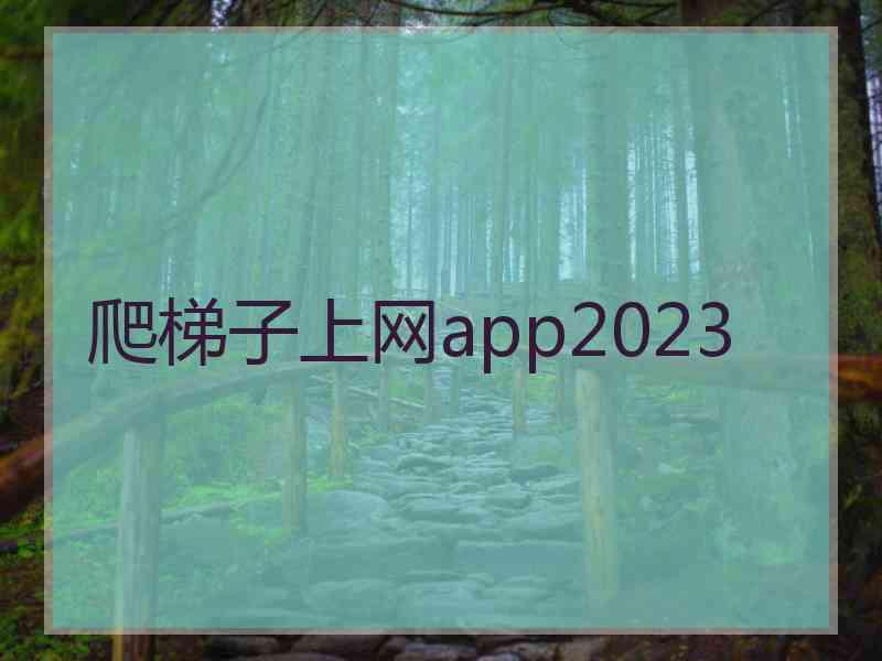 爬梯子上网app2023