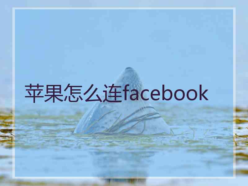 苹果怎么连facebook