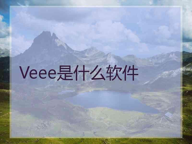 Veee是什么软件