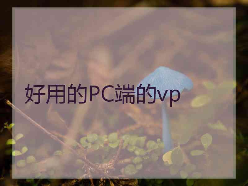 好用的PC端的vp