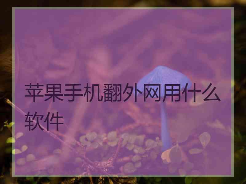 苹果手机翻外网用什么软件