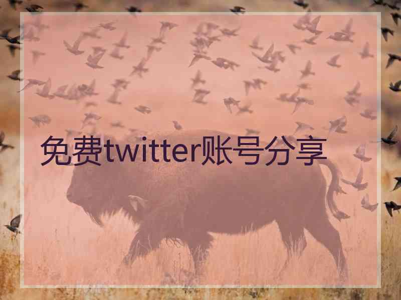 免费twitter账号分享