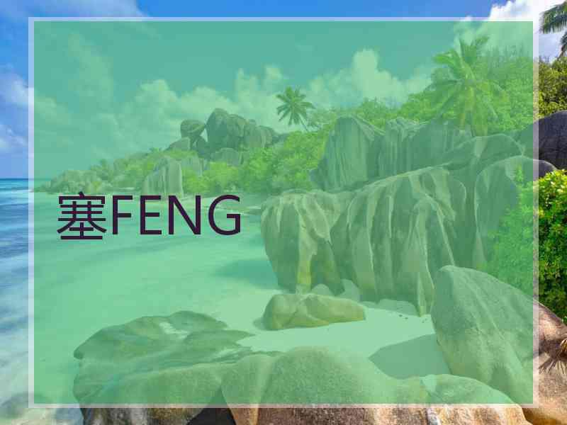 塞FENG