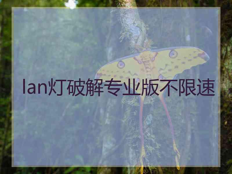 lan灯破解专业版不限速