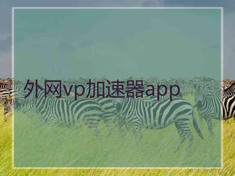 外网vp加速器app