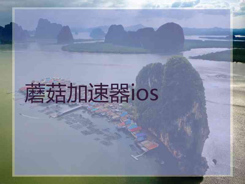 蘑菇加速器ios