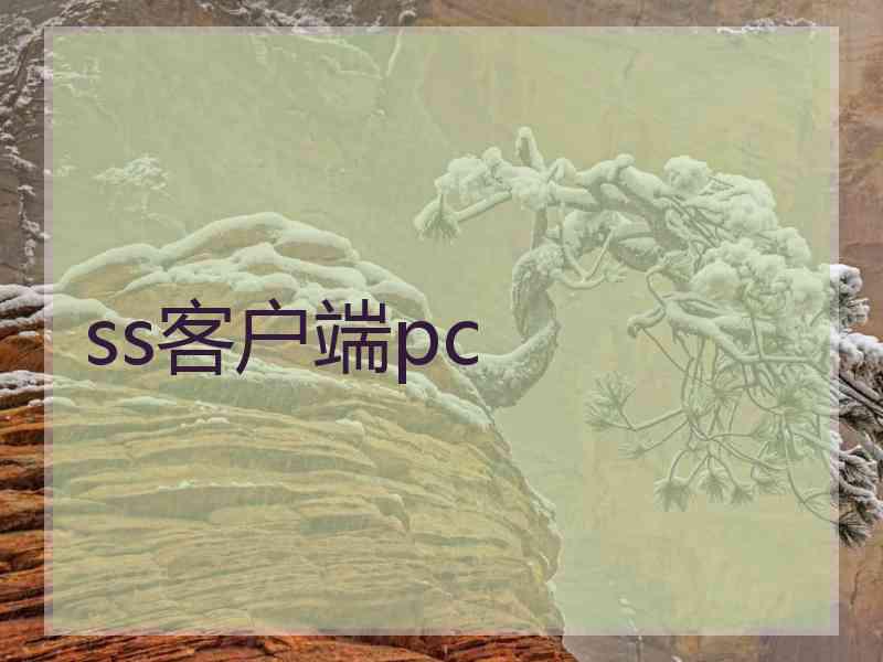 ss客户端pc