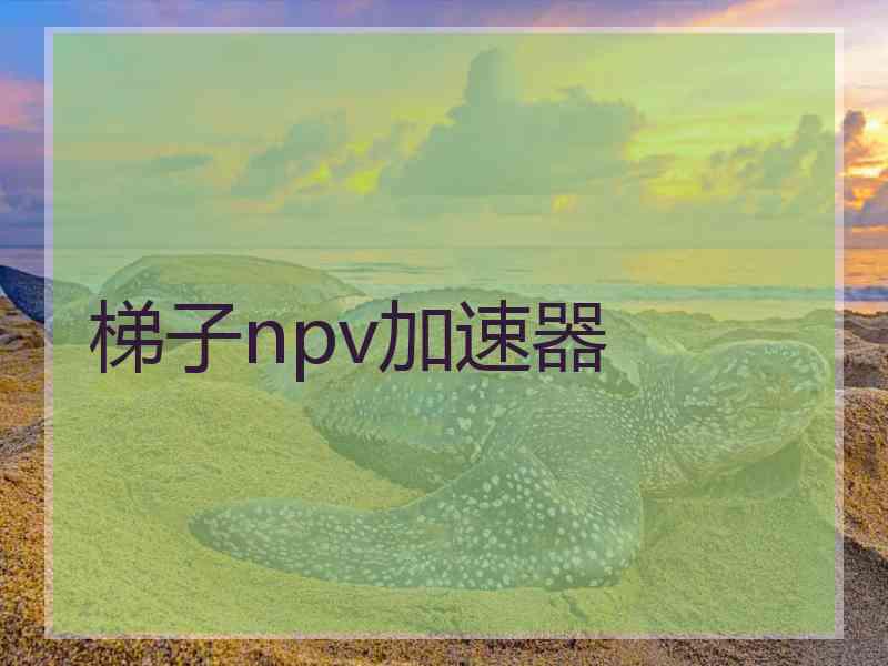 梯子npv加速器