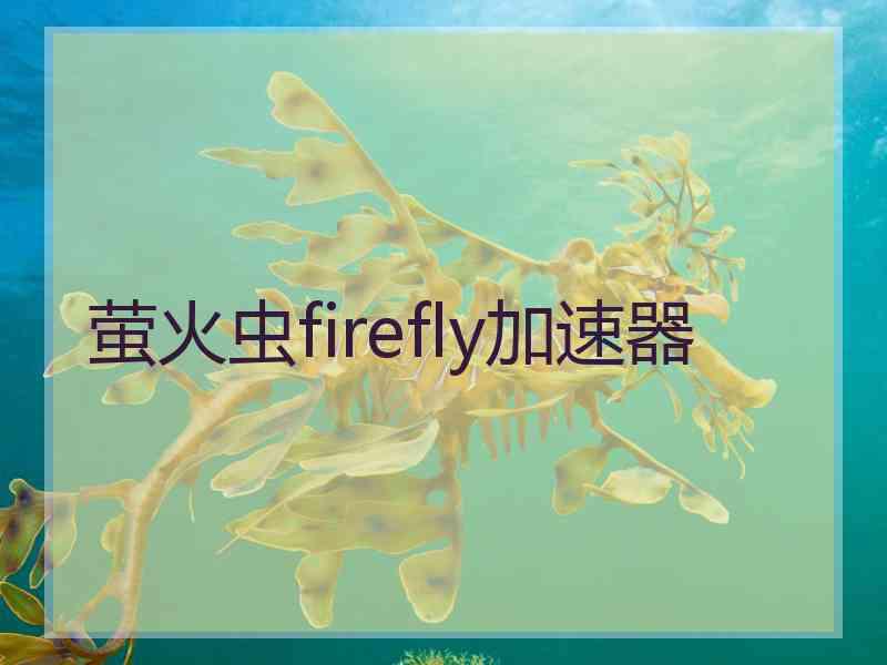 萤火虫firefly加速器