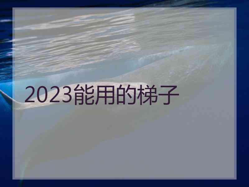 2023能用的梯子