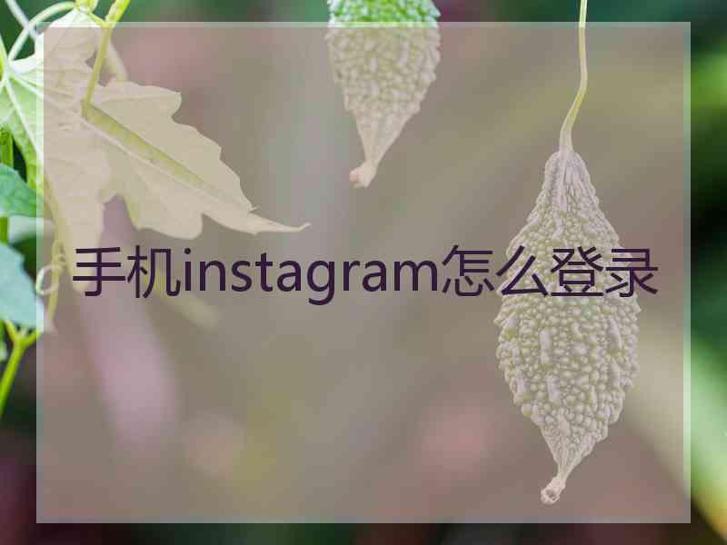 手机instagram怎么登录