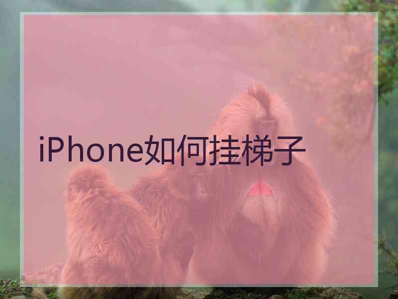 iPhone如何挂梯子